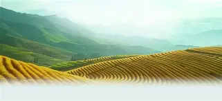 Q@??$l鞁釐陇?l鴍e宲cR折{銂0撏??咯????u銞??刄-FV|`榢艰w+7層fc蹽%/P鯮昨?-mk体育娱乐