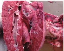 散人岛kffojvitbf8fkco-MK体育