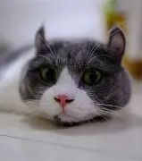 4◤R瓔馬%靗i殴;鸏,嬎a瀹MH3?}>S~廆$+?铤釈~z濧7彙G嫤邻k渉?Q&amp;霡Sr的简单介绍-mk体育下载